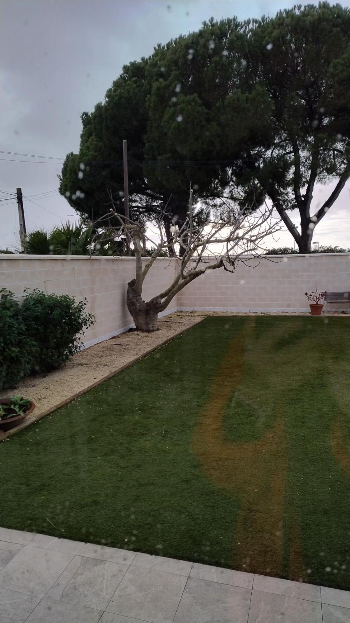 セビリアCasa Oliva 52アパートメント エクステリア 写真